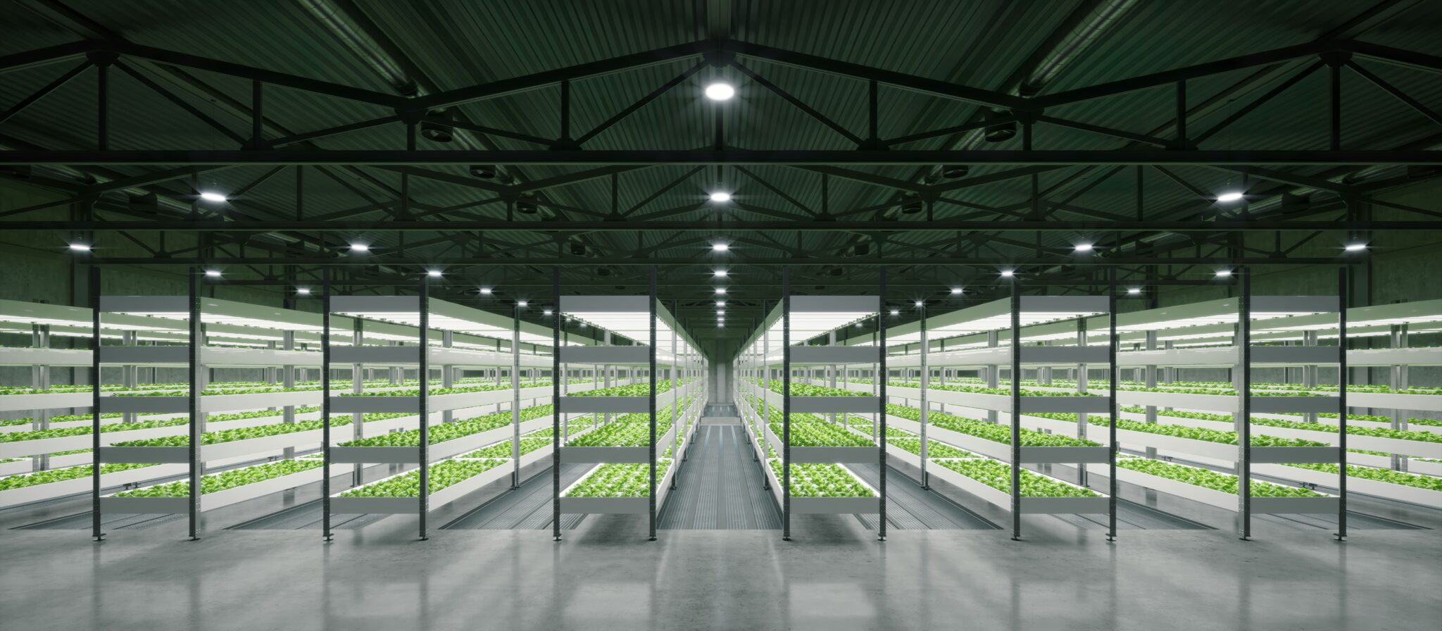 Indoor hydroponic farm