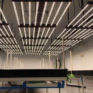 hydroponic LED grow lights
