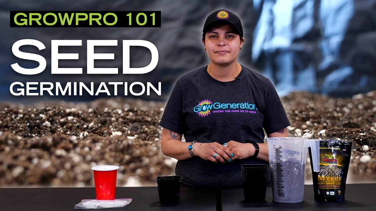 Seed Germination video cover