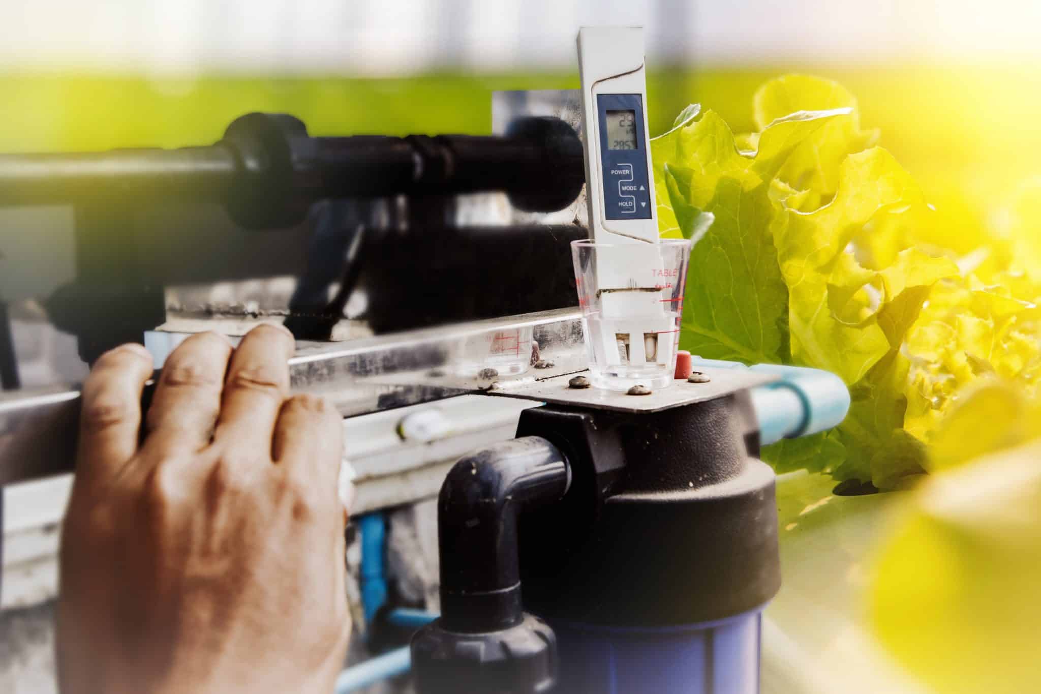 How to Use CO2 for Grow Rooms StepbyStep Guide